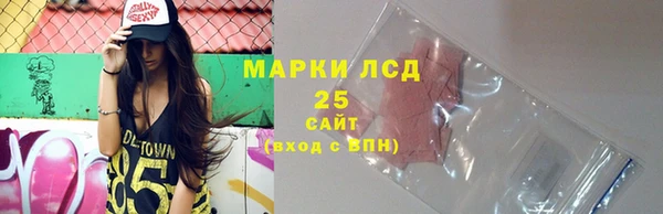 индика Абинск