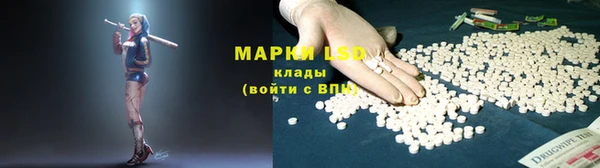 индика Абинск