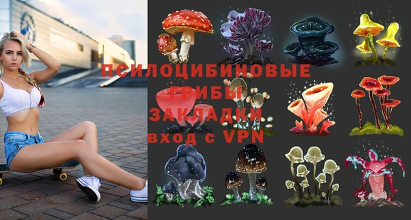 ALPHA PVP Алексеевка