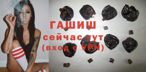индика Абинск