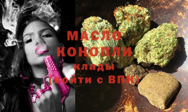 индика Абинск