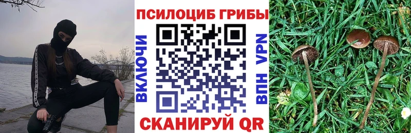 Галлюциногенные грибы прущие грибы  Южноуральск 